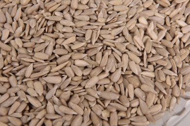 Sunflower Seeds kernel