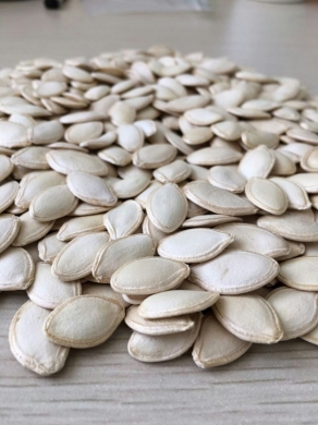 Pumpkin seed